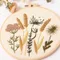 <團購限定>花朵刺繡DIY包｜初學者｜居家裝飾｜花朵｜文青風｜十字繡｜材料包｜刺繡花圈｜推薦好物