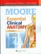 (舊版特價-恕不退換)Essential Clinical Anatomy (IE)