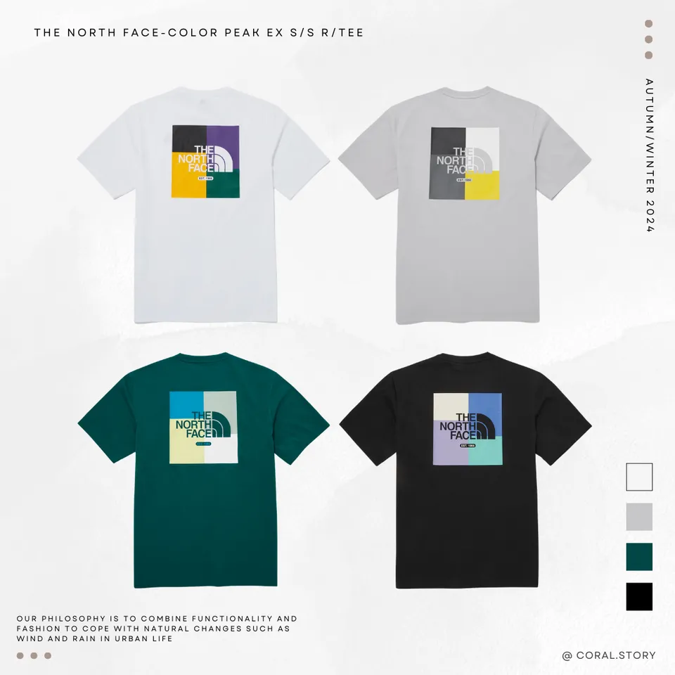THE NORTH FACE COLOR PEAK EX S/S R/TEE 背後色塊短袖NT7UQ12