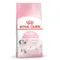 【喵村食堂😊】RoyalCanin皇家大包裝貓飼料★貓乾糧 飼料 貓糧★