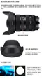 SIGMA 24-70mm F2.8 DG DN II Art 標準變焦鏡 公司貨