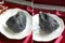 超光西藏隕石(不透)-連結仙女星系 185.66g