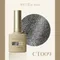 ARTiS di Voce 亮粉甲油膠8g CT009