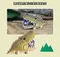 EUGY 3D紙板拼圖-短吻鱷