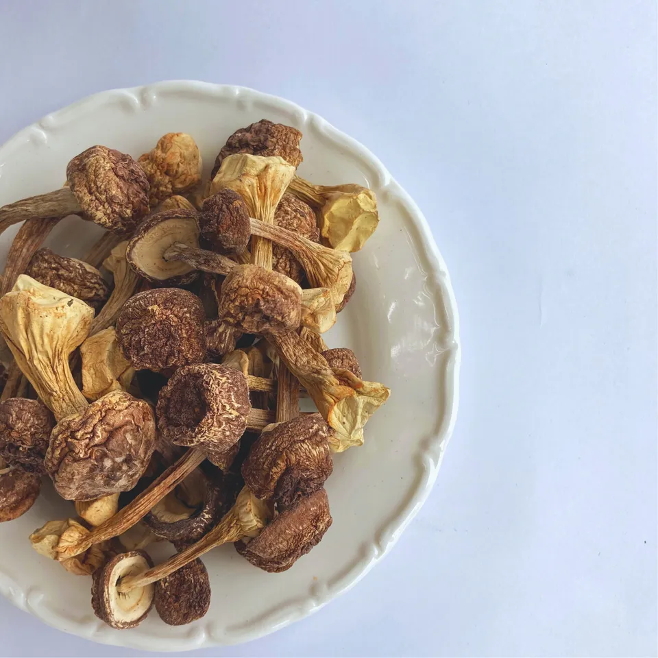 乾燥巴西蘑菇 姬松茸