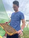 (買大送小)時代養蜂場龍眼蜂蜜(700g)★贈覓蜜隨行蜂蜜★產銷履歷-