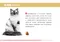 ROYAL CANIN法國皇家．FBN品種訂製貓系列【RD32布偶成貓】2公斤