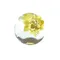 PADICO 手工藝寶石軟膜-圓球(12mm)