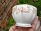 Queen Anne - 棕葉紅果 下午茶系列 (含 茶杯組 糖碗 )