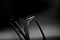 TIC-7 Bottle Cage
