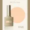ARTiS di Voce 彩色甲油膠8g 048
