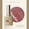 ARTiS di Voce 貓眼甲油膠8g CE077