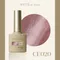 ARTiS di Voce 貓眼甲油膠8g CE020