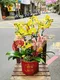 B1-4│蘭花盆栽│新北市花店│蘆洲花店│榮升誌慶│喬遷之喜│開幕誌慶│過年送禮│訂花│送花