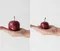 Marble Apple "Red" Small