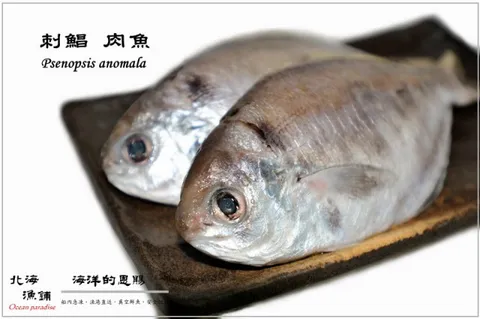 彭佳嶼現流急凍肉魚 2 6隻裝 300g 350g 去鱗 去鰓 去肚 包 北海漁鋪