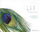 *Lit: The Simple Protocol for Dental Photography in the Age of Social Media