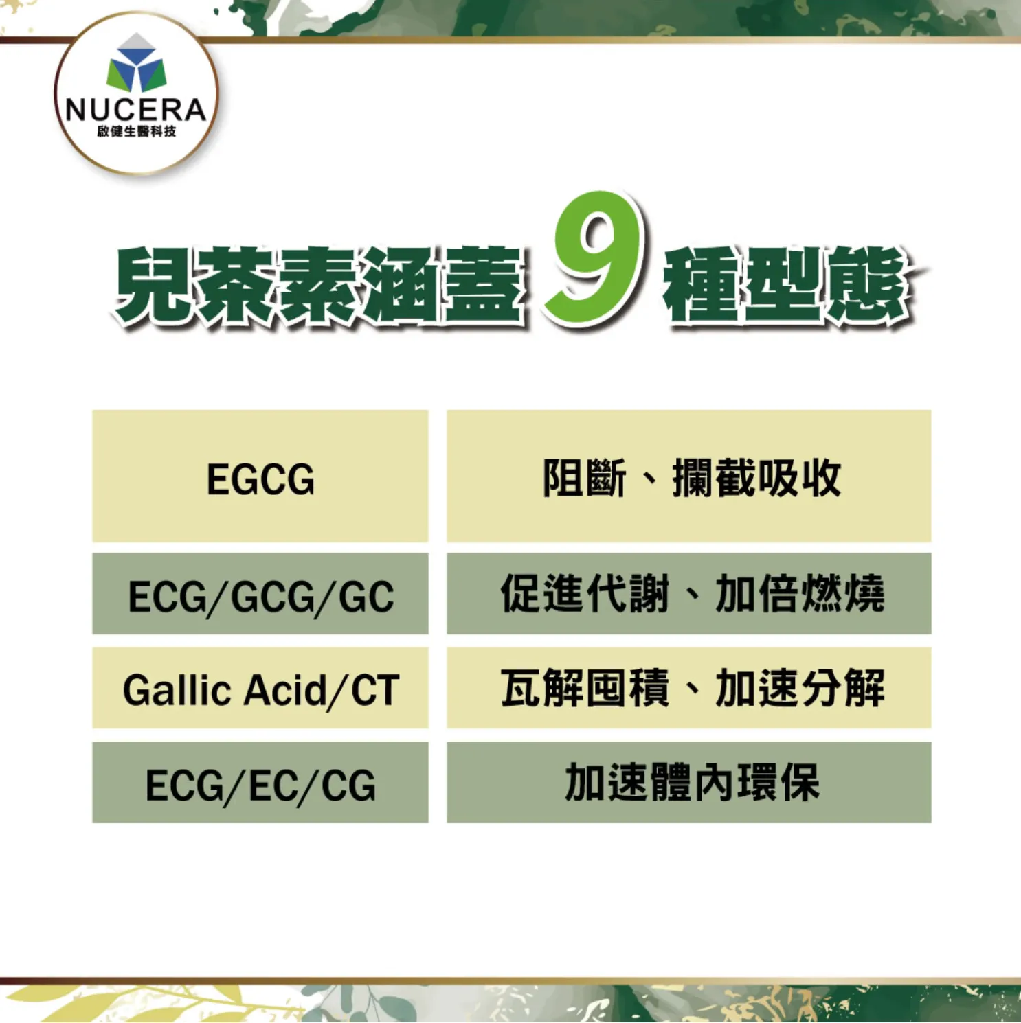 啟健綠茶萃取錠