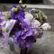 魔幻紫盆花