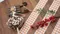 [DIY組合包]緞帶花仙子鉛筆 (Ribbon Elf Pencil-DIY Pack)