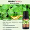 【澳維花園Aus Garden】廣藿香精油16ml