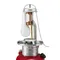 ヾ125周年 ﾉﾞ[ Coleman ] HYBRID聖誕節氣化燈-聖誕老公公 │汽化燈  聖誕節限定款  LED燈