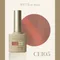 ARTiS di Voce 貓眼甲油膠8g CE106