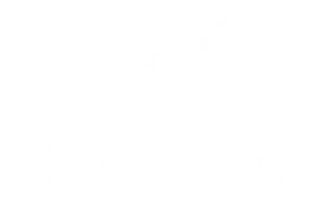Meeta 迷他｜滿溢自信、優雅與香氛的精油擴香