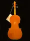 RODERICH PAESOLD 4/4 803AHV 小提琴 VIOLIN