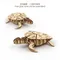 JIGZLE ® 3D-木拼圖 - 海龜