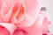 溫暖愛意禮盒包裝(DK0094-632/PO-K1373-2/Warmth and Affection Gift Box Packaging)