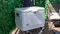 [ Coleman ] 54QT 70週年紀念版保冷箱-白色｜露營保冰桶 露營冷藏 戶外冰桶 鋼制冰桶 保冷箱 冰桶
