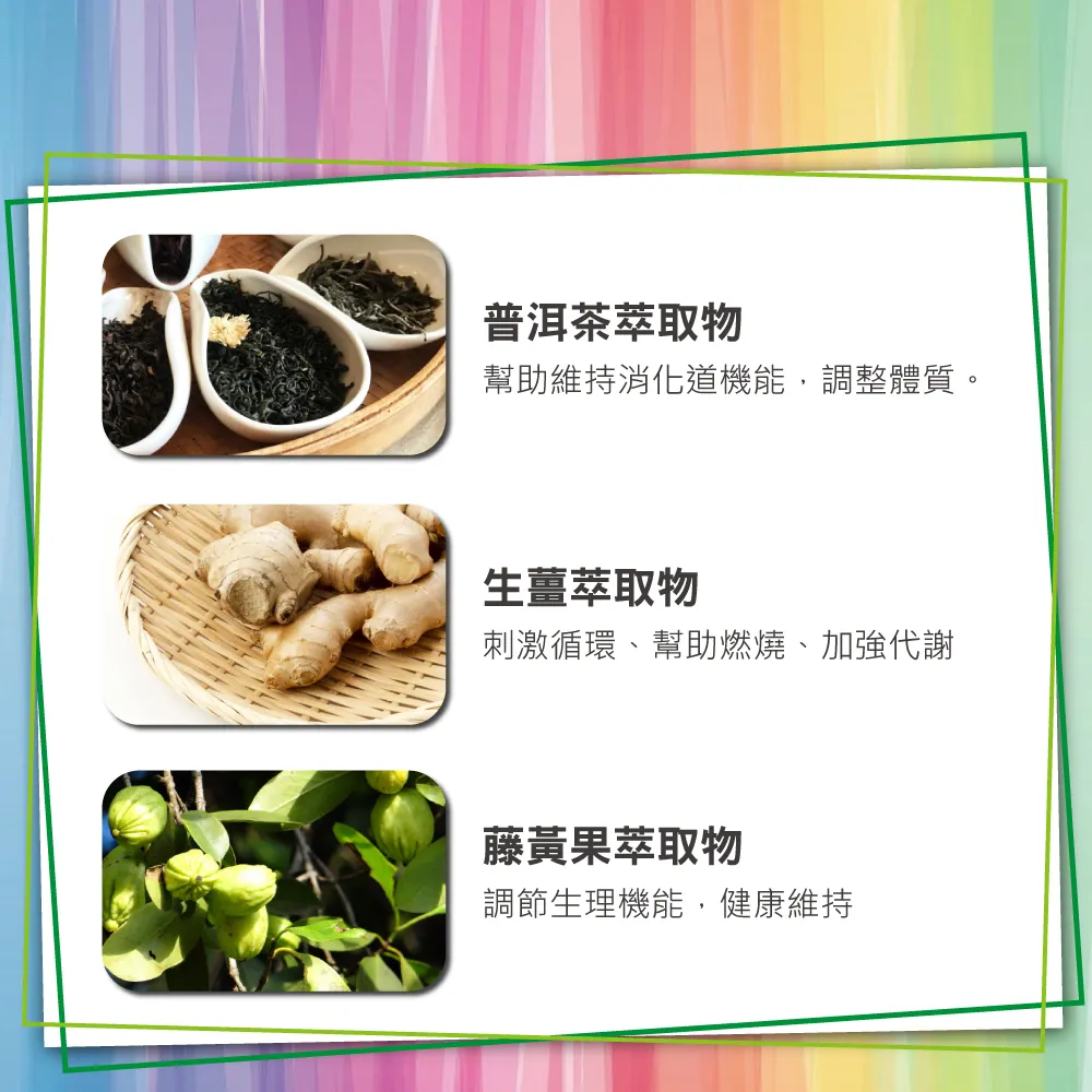 綠恩兒茶素EXX版