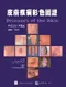【特價優惠】(些許泛黃-不可退書)皮膚疾病彩色圖譜(Disease of the Skin)