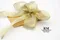 新年金喜蝴蝶結 (W793-1-1New Year Golden Happiness Butterfly Bow) ｜手作｜布置｜金色｜緞帶用途