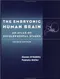 The Embryonic Human Brain: An Atlas of Developmental Stages