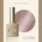 ARTiS di Voce 貓眼甲油膠8g CE016