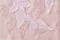 LinLi設計款 蝴蝶花蕾絲刺繡純羊絨Cashmere圍巾-乾燥玫瑰粉 (蕾絲花色: 粉色)