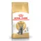 【喵村食堂😊】RoyalCanin皇家大包裝貓飼料★貓乾糧 飼料 貓糧★