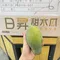 🇹🇼【富春農場】　　　日昇木瓜