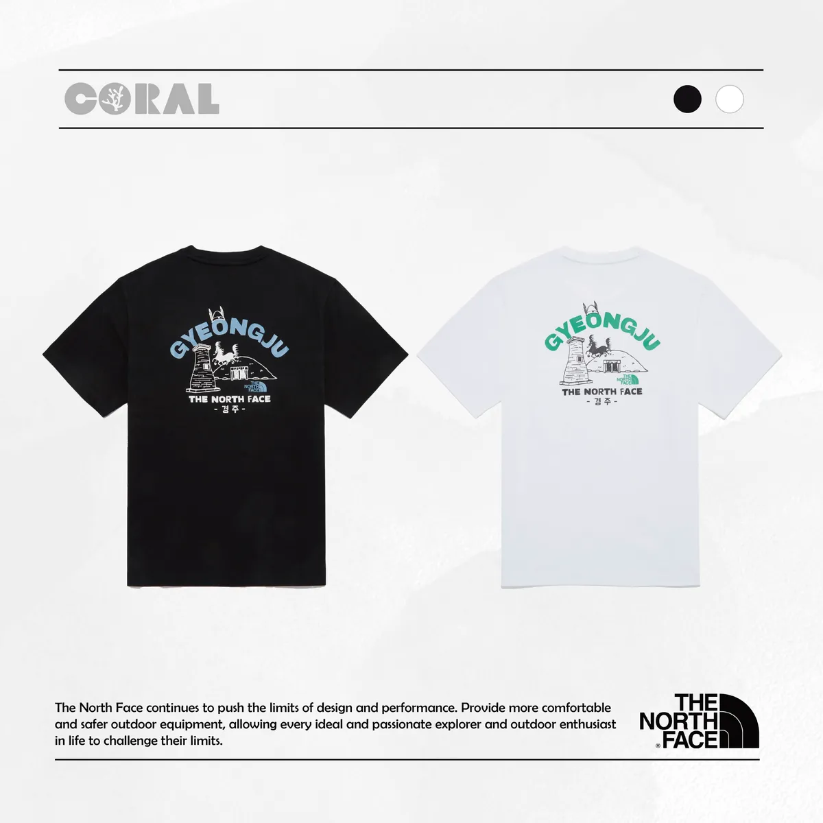 THE NORTH FACE TNF GYEONGJU EDITION S/S R/TEE 地區限定慶州版