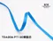 TDA206 銀邊雙面特多龍緞帶 10mm  (TDA206 POLYESTER SATIN RIBBON 10mm )