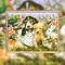 貓狗兔鸚鵡一家