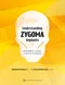 Understanding Zygoma Implants: Biomechanical,Surgical,and Prosthetic Principles
