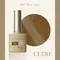 ARTiS di Voce 貓眼甲油膠8g CE130