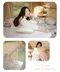 [  Metsä 米特薩 ] 眠月翻轉記憶枕│ 枕頭 露營枕 有分長短枕 記憶枕