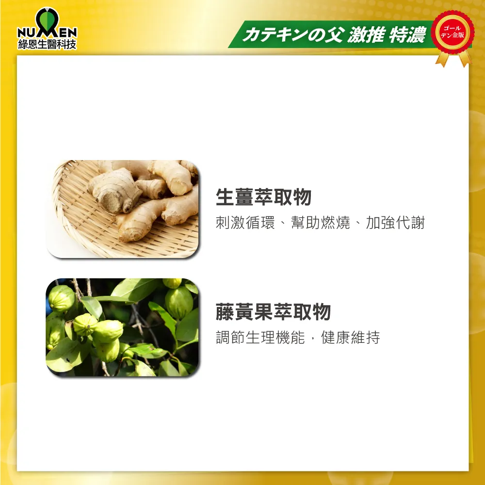綠茶萃取錠EX黃金版(兒茶素EX黃金版)