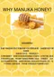 【Honey Australia】100％純蜂巢