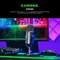 RAZER 雷蛇 SEIREN V2 PRO 魔音海妖V2 PRO 麥克風 直播麥克風 電競麥克風