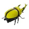 電蟲甲蟲(16cm)